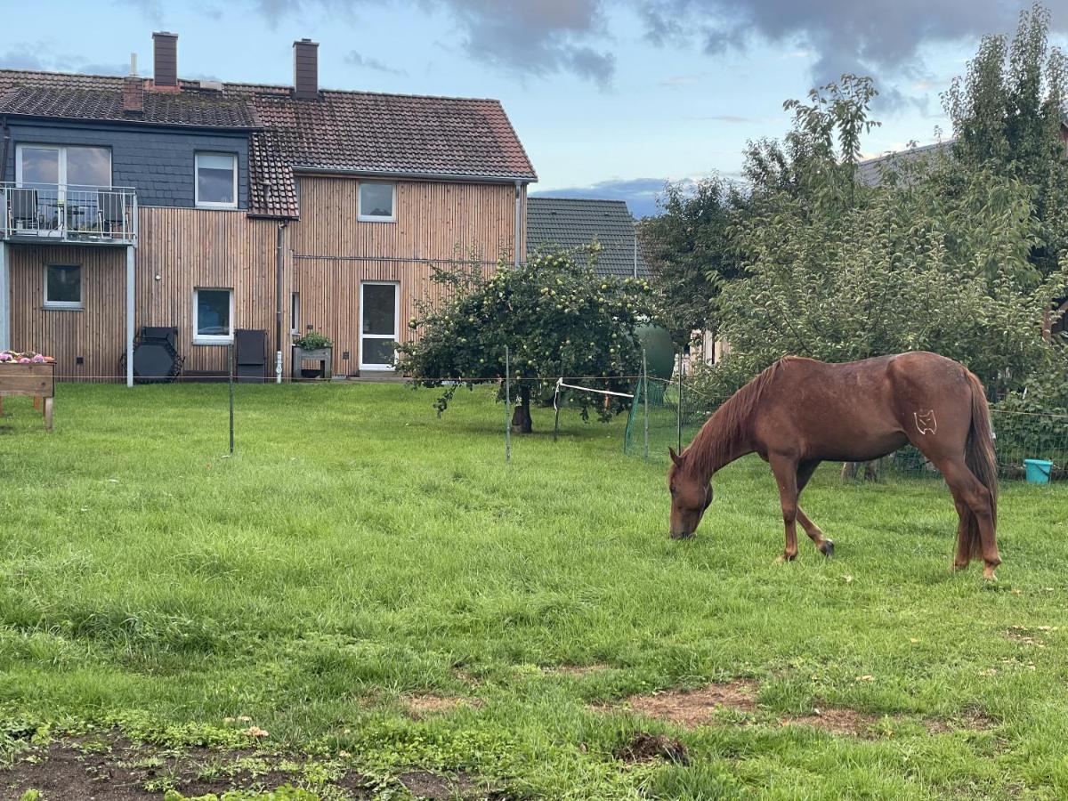 Urlaub Auf Dem Land Apartment Triepkendorf Екстериор снимка